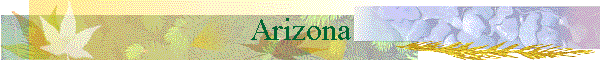 Arizona